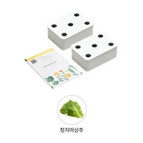 LG 틔운용 청치마상추 씨앗키트 패키지 (전제품용) 상품 이미지