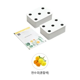 LG 틔운용 천수국 혼합색 씨앗키트 패키지 (미니용) 상품 이미지