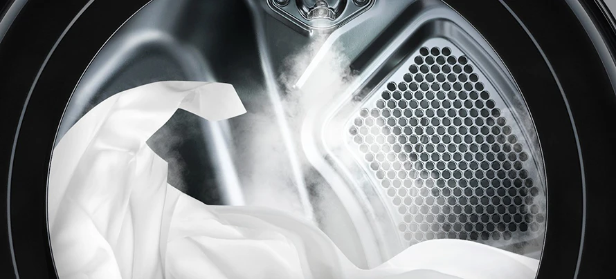 LG 건조기의 트루스팀 이미지