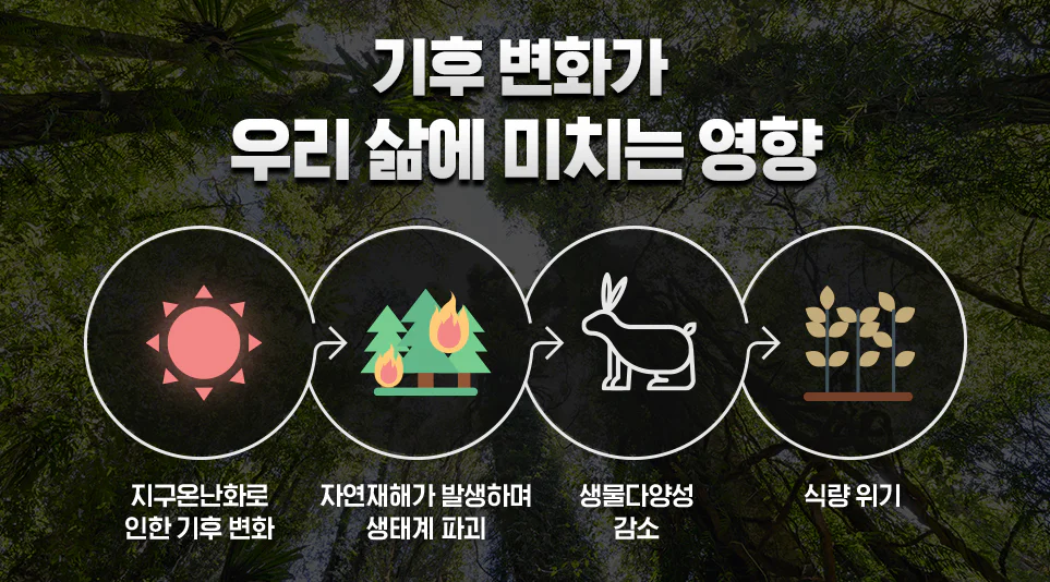 기후 변화가 우리 삶에 미치는 영향을 나타낸 도표 기후 변화가 우리 삶에 미치는 영향을 나타낸 도표
