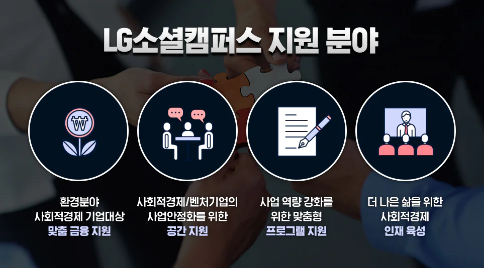LG소셜캠퍼스 지원 분야 도표