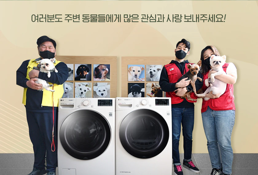 유기동물들을 보호해주세요!