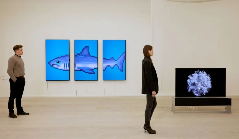 LG전자가 현대미술의 성지로 손꼽히는 英 런던 소재  사치갤러리(Saatchi Gallery)에서 현지시간 9일부터 오는 19일까지  LG 올레드 TV를 활용한 다양한 미디어아트를 선보인다. 