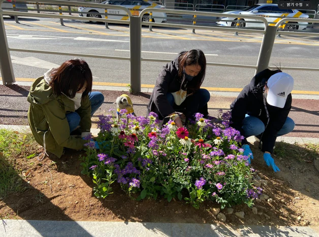 게릴라 가드닝 봉사 : 관리가 안되고 있는 길가에 꽃을 심어 환경 가꾸기