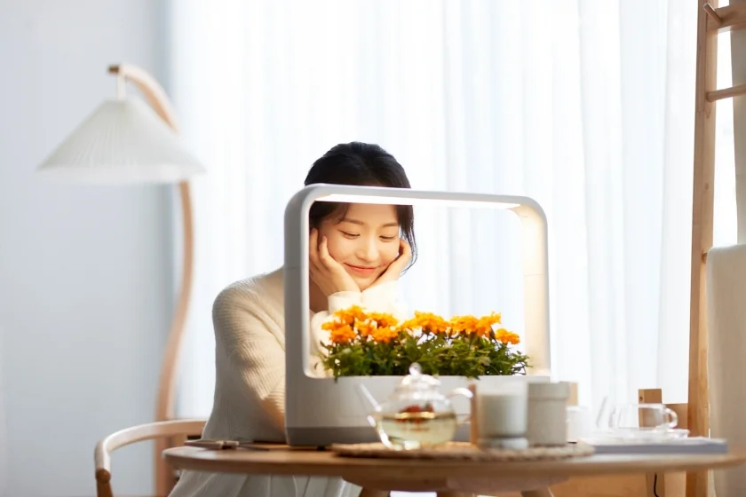 LG전자가 테이블 위에서도 손쉽게 반려(伴侶)식물을 키울 수 있는 식물생활가전 신제품 ‘LG 틔운 미니(LG tiiun mini)’를 3일 출시했다. 모델이 LG 틔운 미니에서 자라고 있는 꽃을 감상하고 있다.