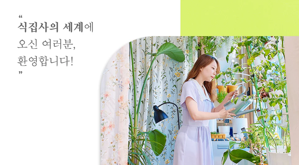 푸릇푸릇 초록빛을 뿜어내는 솔룸님만의 공간 푸릇푸릇 초록빛을 뿜어내는 솔룸님만의 공간
