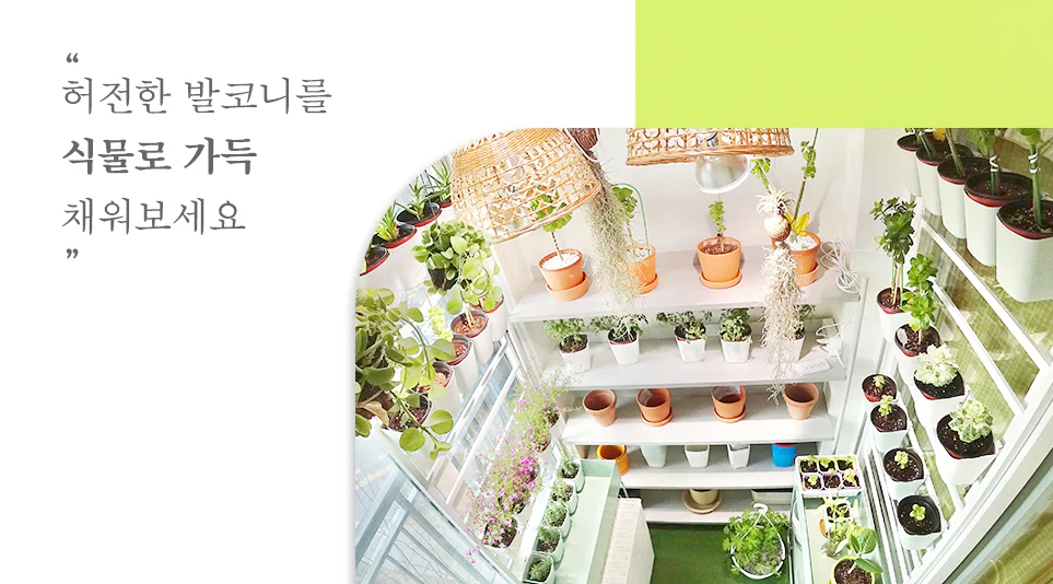 발코니에서 정성스럽게 기르고 있는 화분들 발코니에서 정성스럽게 기르고 있는 화분들