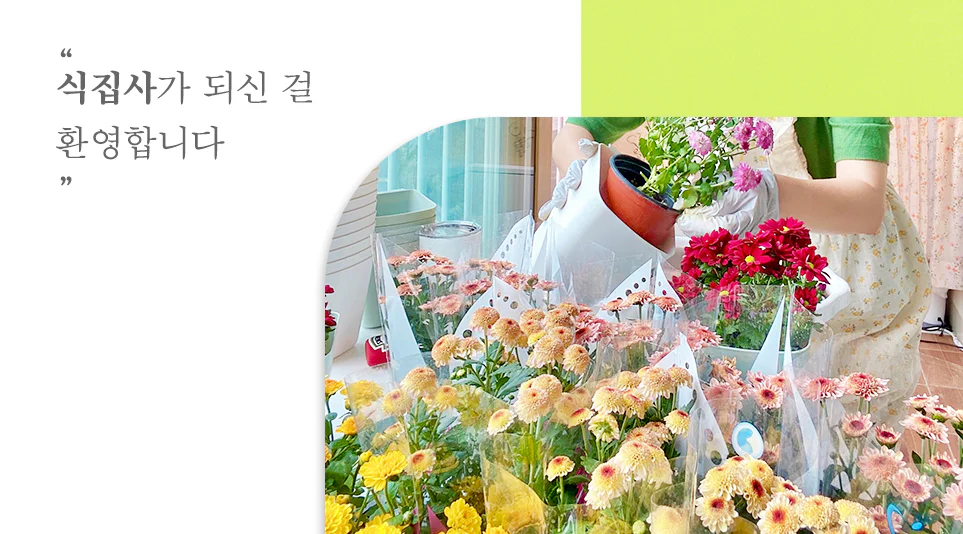 발코니에 가득 놓인 화분들 발코니에 가득 놓인 화분들