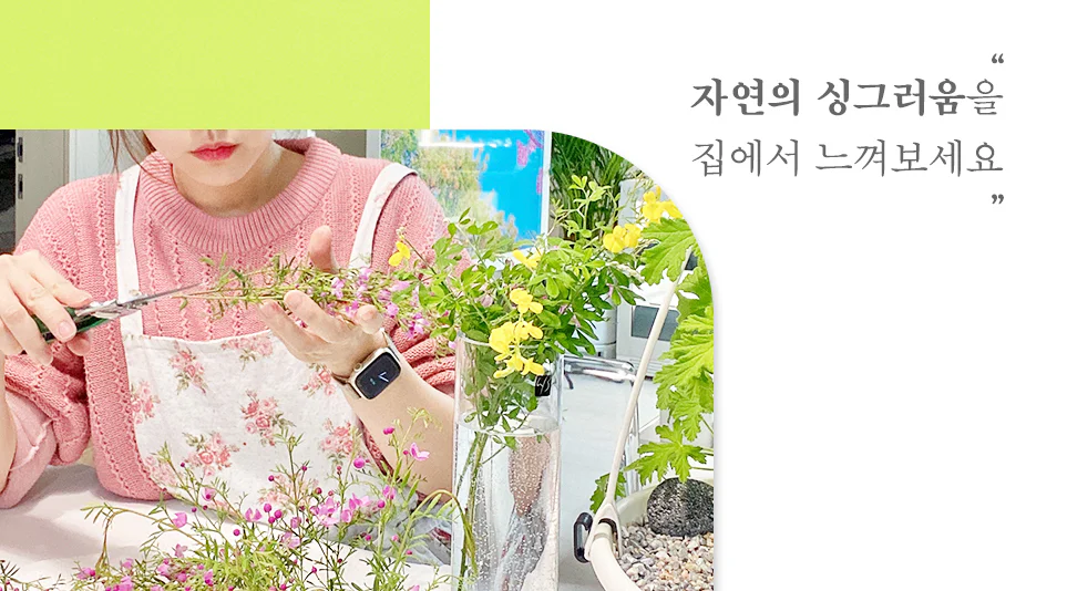 가만히 앉아 여유를 즐기며 할 수 있는 꽃꽂이 가만히 앉아 여유를 즐기며 할 수 있는 꽃꽂이