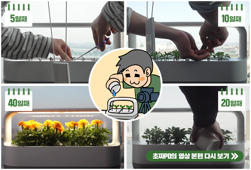 나의 사내 반려식물생활 촬영기 