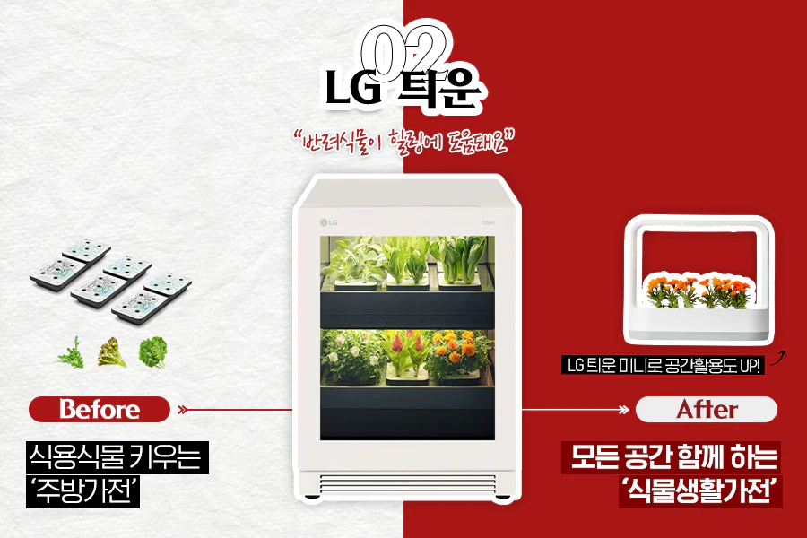 '식물생활가전' LG 틔운 '식물생활가전' LG 틔운