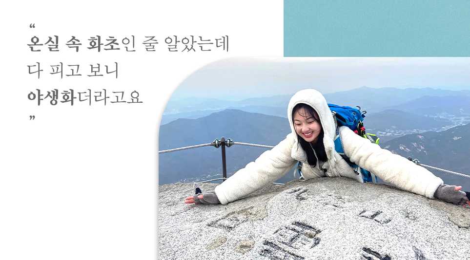 북한산 백운대 정상에 오른 백송희님 북한산 백운대 정상에 오른 백송희님