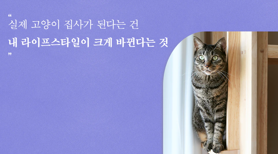 고양이와 함께하는 일상 속에서 LG전자 제품이 어떻게 사용되고 있는지 알아보기 위해 기고 받았습니다.