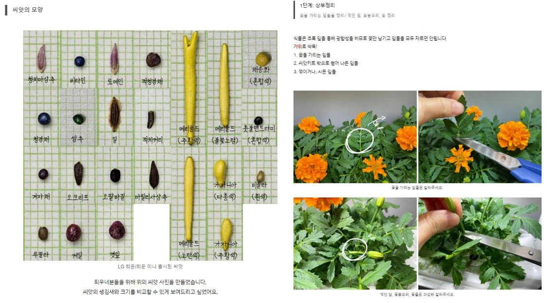스프라우트 컴퍼니 직원이 직접 다양한 식물들의 정보를 알려주는 ‘알쓸식잡’ 코너