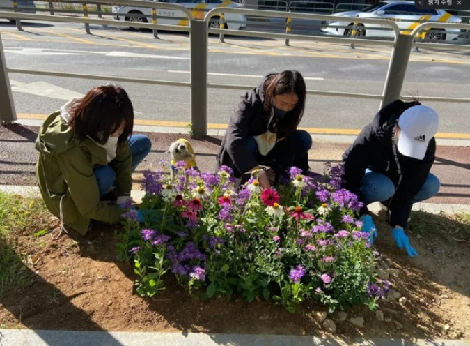 화단에 식물을 심고 있는 LG전자 라이프스굿 봉사단