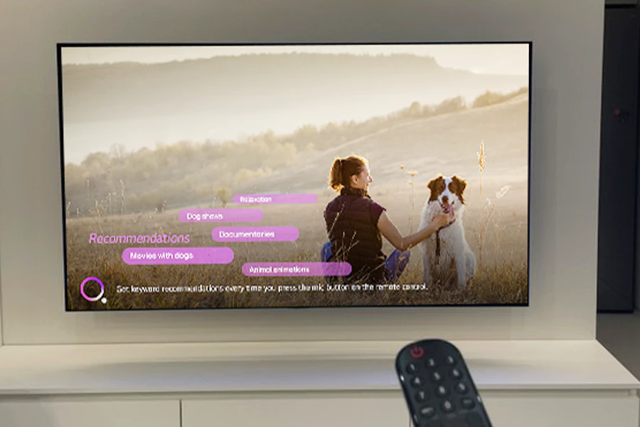 LG webOS의 AI 맞춤제안 기능으로 콘텐츠를 즐기면서 정보를 검색하는 모습 (사진제공: @jireh_yp님(좌)