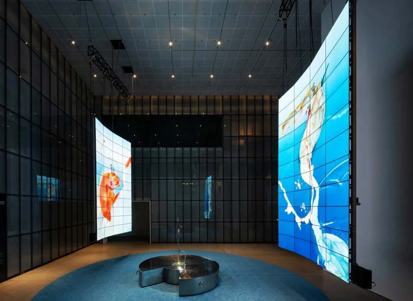LG전자의 55형 OLED 스크린 총 88대로 만든 두 개의 초대형 스크린 월이 작가의 작품 세계를 더욱 몰입감 있게 구현한다.(제공: 국립현대미술관)