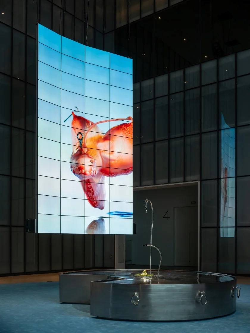 LG전자의 55형 OLED 스크린 총 88대로 만든 두 개의 초대형 스크린 월이 작가의 작품 세계를 더욱 몰입감 있게 구현한다.(제공: 국립현대미술관)