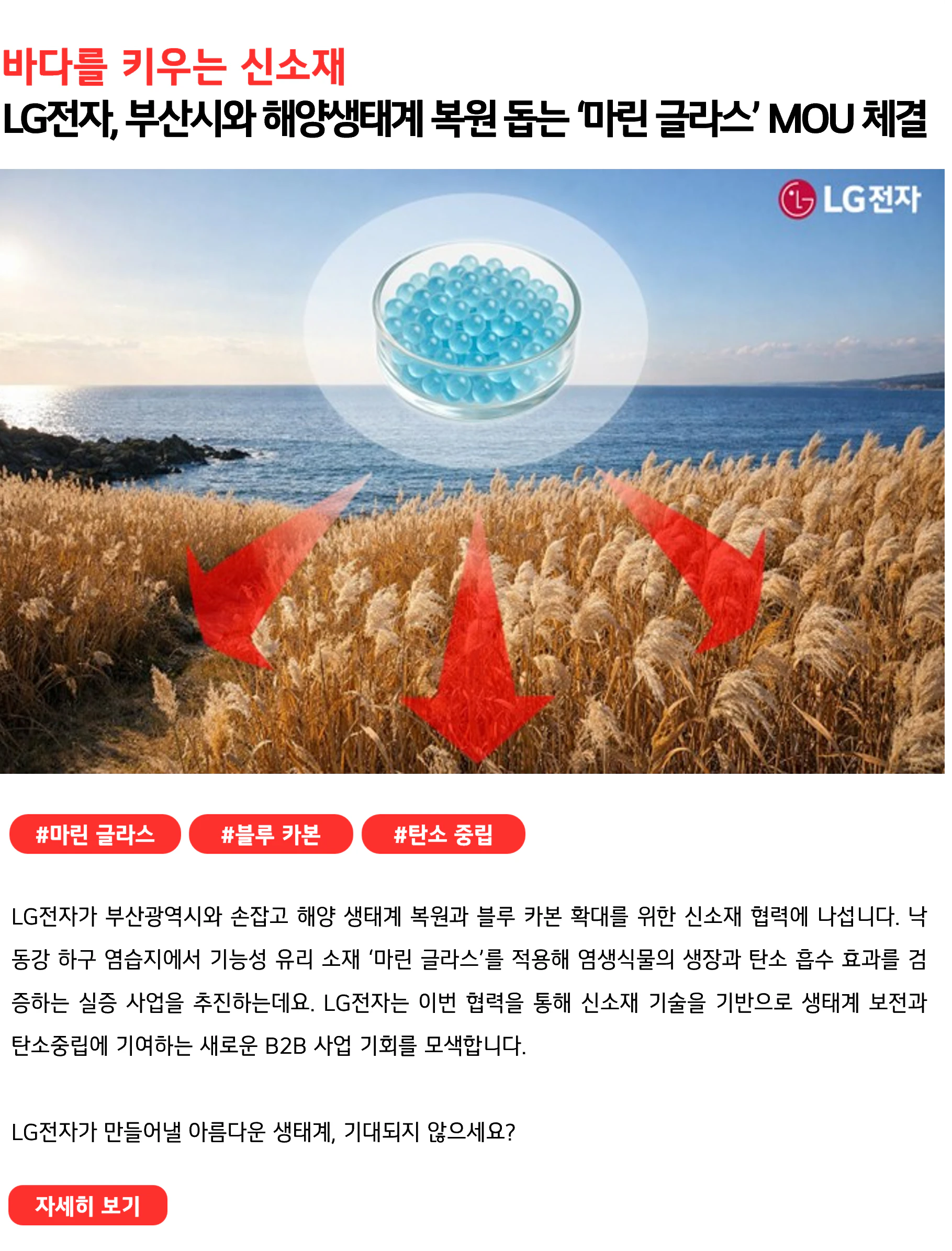 바다를 키우는 신소재 LG전자, 부산시와 해양생태계 복원 돕는 ‘마린 글라스’ MOU 체결 #마린글라스 #블루카본 #탄소중립 LG전자가 부산광역시와 손잡고 해양 생태계 복원과 블루카본 확대를 위한 신소재 협력에 나섭니다. 낙동강 하구 염습지에서 기능성 유리 소재 ‘마린 글라스’를 적용해 염생식물의 생장과 탄소 흡수 효과를 검증하는 실증 사업을 추진하는데요. LG전자는 이번 협력을 통해 신소재 기술을 기반으로 생태계 보전과 탄소중립에 기여하는 새로운 B2B 사업 기회를 모색합니다. LG전자가 만들어낼 아름다운 생태계, 기대되지 않으세요?