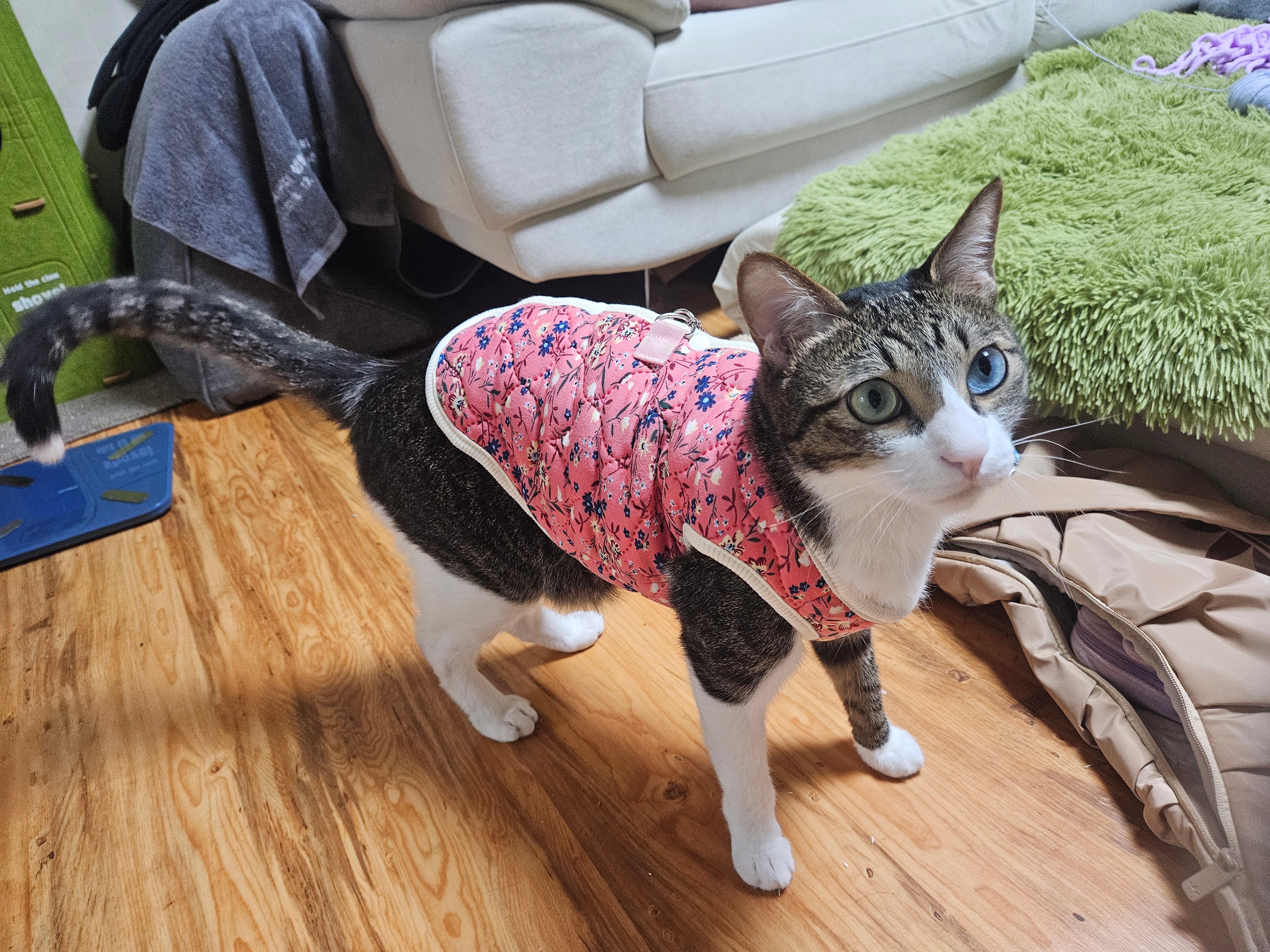 상품후기 썸네일 이미지