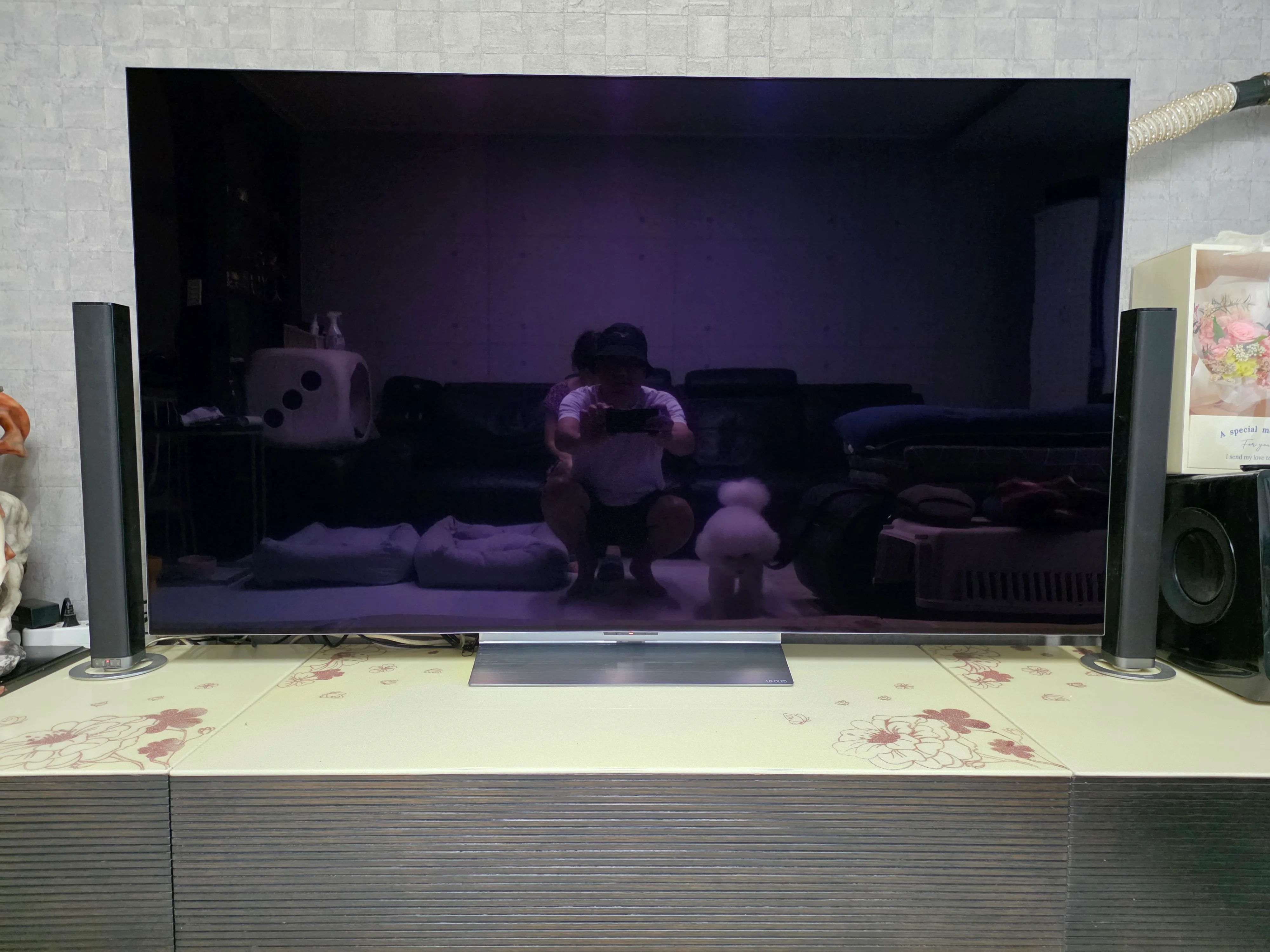 8년동안 사용하던 LG OLED TV가 수명이 ...